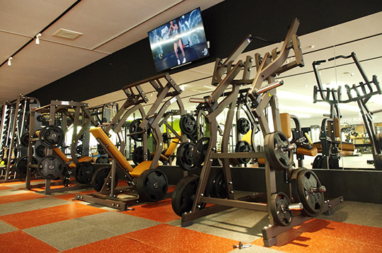 FIT-EASY AMUSEMENT FITNESS CLUB