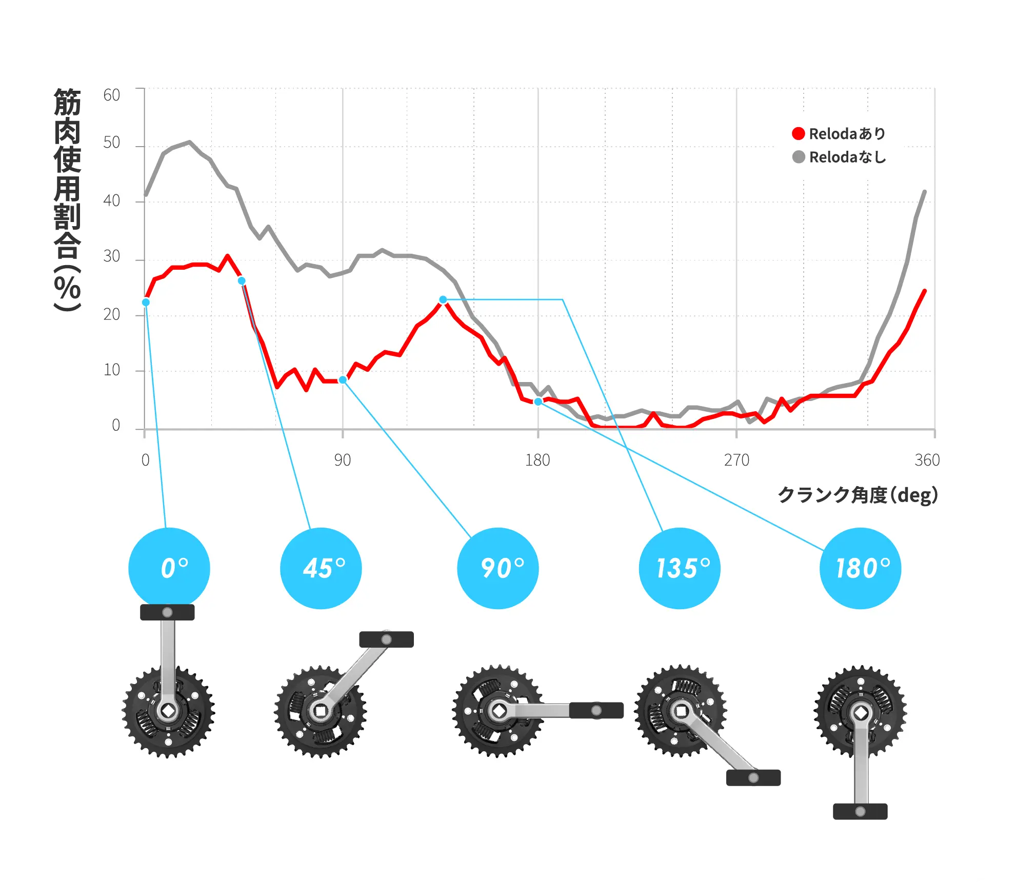 Reloda有無での片足における筋肉使用割合